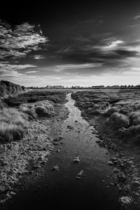 Scenic view of landscape against sky