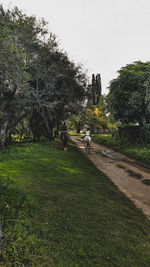 Man cycling on field against trees and sky