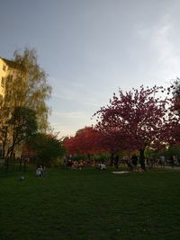 Trees in park against sky during autumn