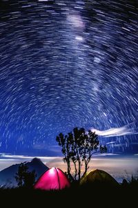 Scenic view of tree against sky at night