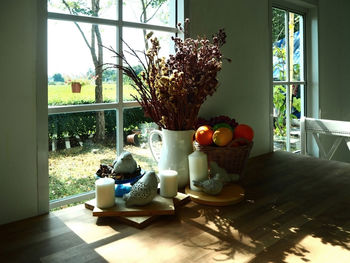 Potted plant on table at home