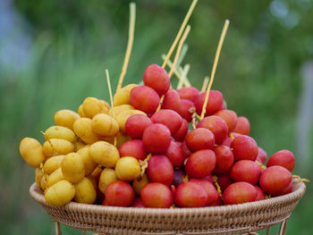 Close-up of fruits in basket. date palm