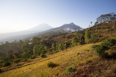 Scenic view of landscape against clear sky