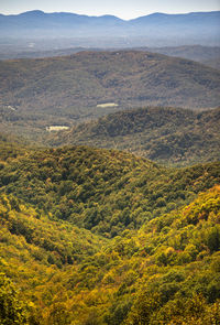 High angle view of trees on landscape