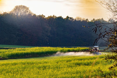 Scenic view of field against sky