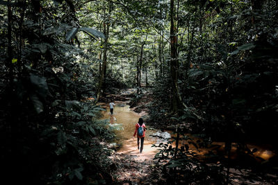 Rear view of friends walking in stream at forest