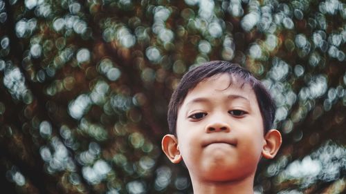 Portrait of cute boy against tree