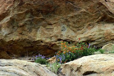 Low angle view of cave