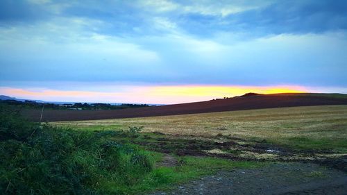 Scenic view of field against sky during sunset