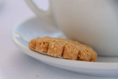 Close-up of biscuit on plate