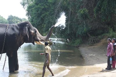 Full length of elephant standing in water