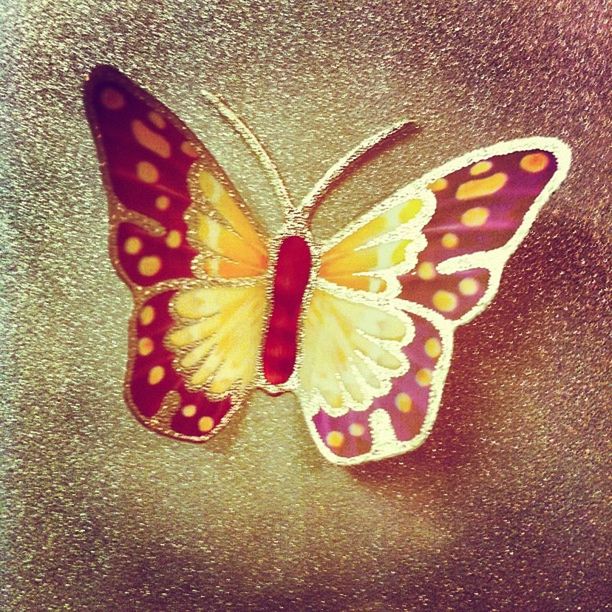 Butterfly💓