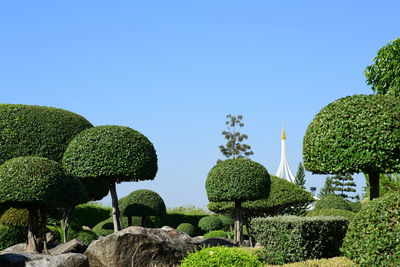 Low angle view of plants against clear sky