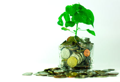 Close-up of coins in jar against white background