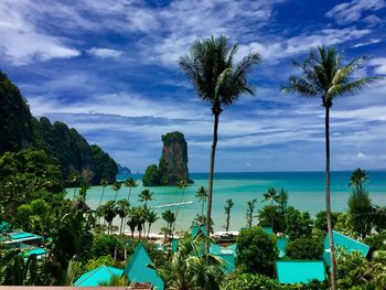 Palm trees on beach against blue sky