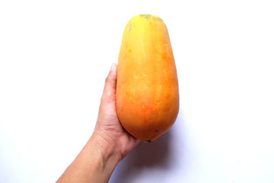 
woman hand holding ripe papaya in on a white background