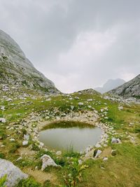 environment