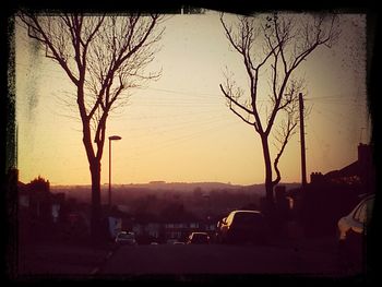 Bare trees against sky at sunset