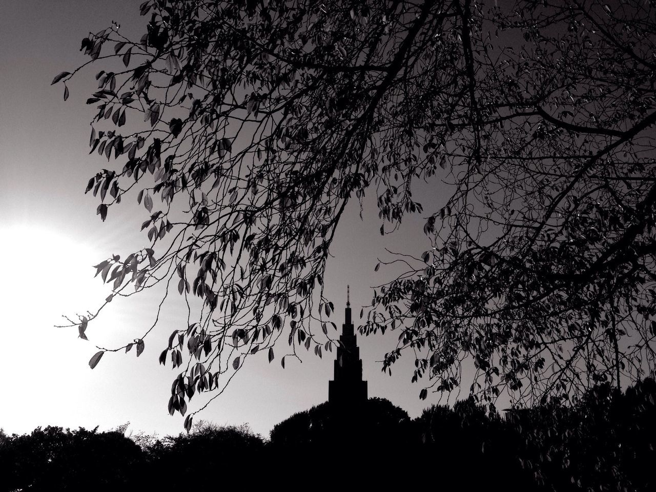 tree, low angle view, silhouette, religion, spirituality, architecture, place of worship, built structure, bare tree, building exterior, branch, sky, church, dusk, clear sky, history, temple - building, outdoors