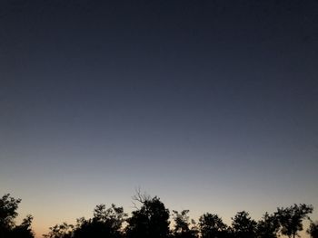 Low angle view of silhouette trees against clear sky