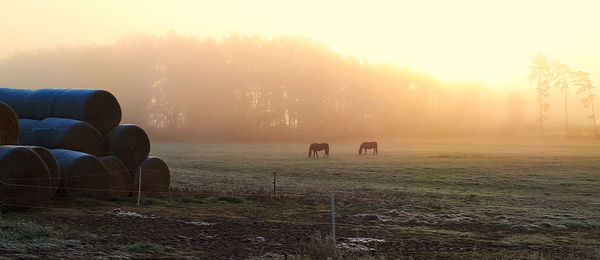 Scenic view of field against sky during winter