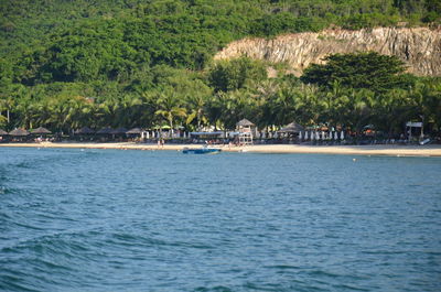 Scenic view of sea against trees