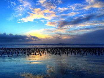 Scenic view of sea at sunset