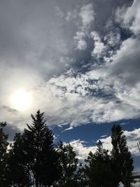 Low angle view of trees against cloudy sky