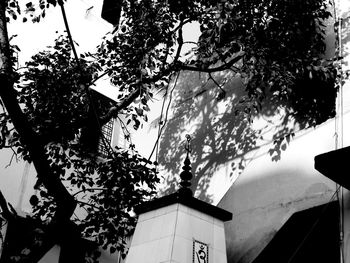 Low angle view of tree and building against sky