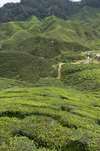 Scenic view of landscape