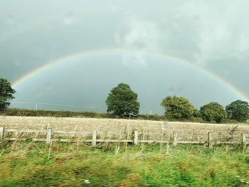 Scenic view of field against rainbow in sky