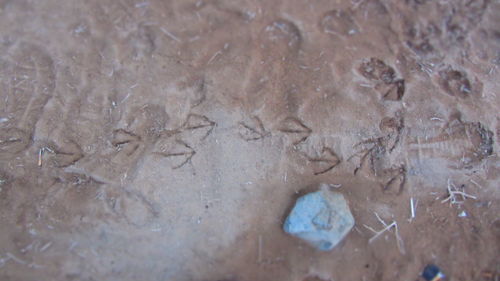 Full frame shot of water drops on glass