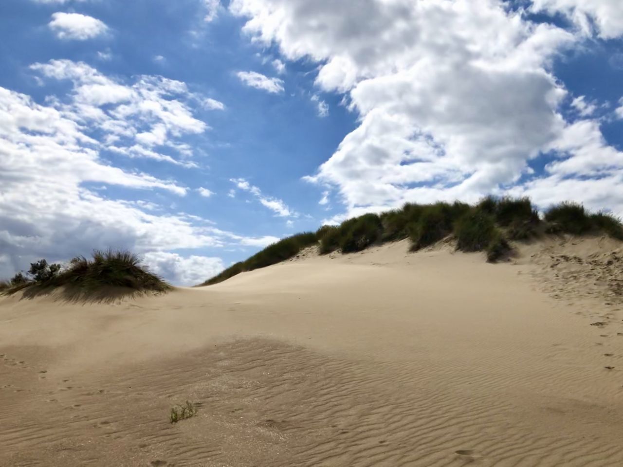 SCENIC VIEW OF SAND DUNE ON BEACH AGAINST SKY