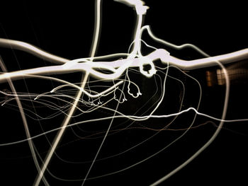 Close-up of spider web on black background