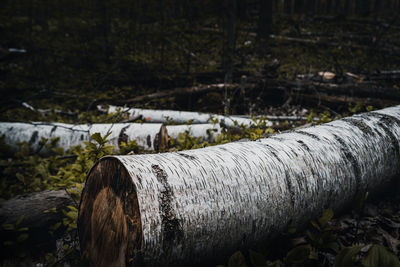 Close-up of pipe on field against trees