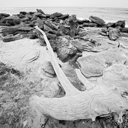 High angle view of driftwood on beach