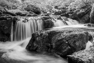 View of waterfall in forest