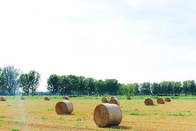 Hay bales on field against clear sky