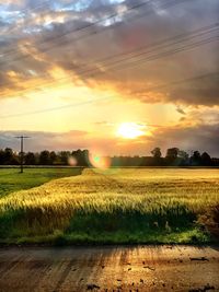 Scenic view of field against sky during sunset