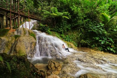 Scenic view of waterfall in forest