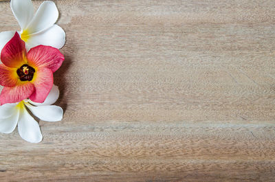 Directly above view of flowers on wooden table