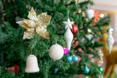 Close-up of christmas decoration hanging on tree
