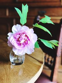 Close-up of pink flower on table