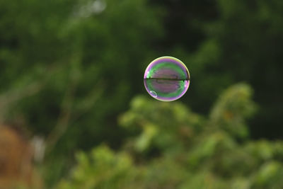 View of bubbles