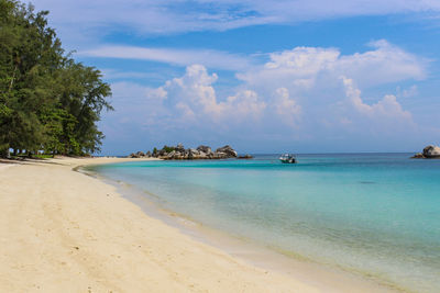 Scenic view of beach against sky