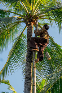 Low angle view of bird perching on tree