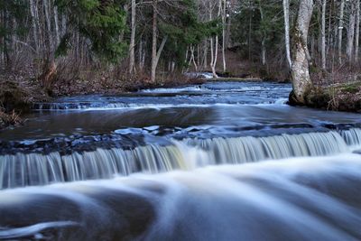 Surface level of stream flowing in forest