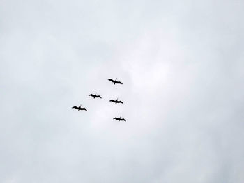 Low angle view of airshow