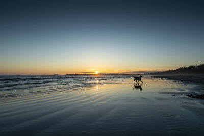 Silhouette man on beach against sky during sunset