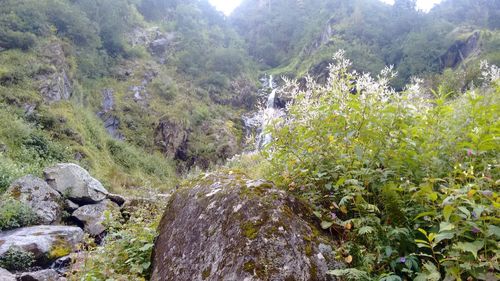 Scenic view of tree mountains against sky